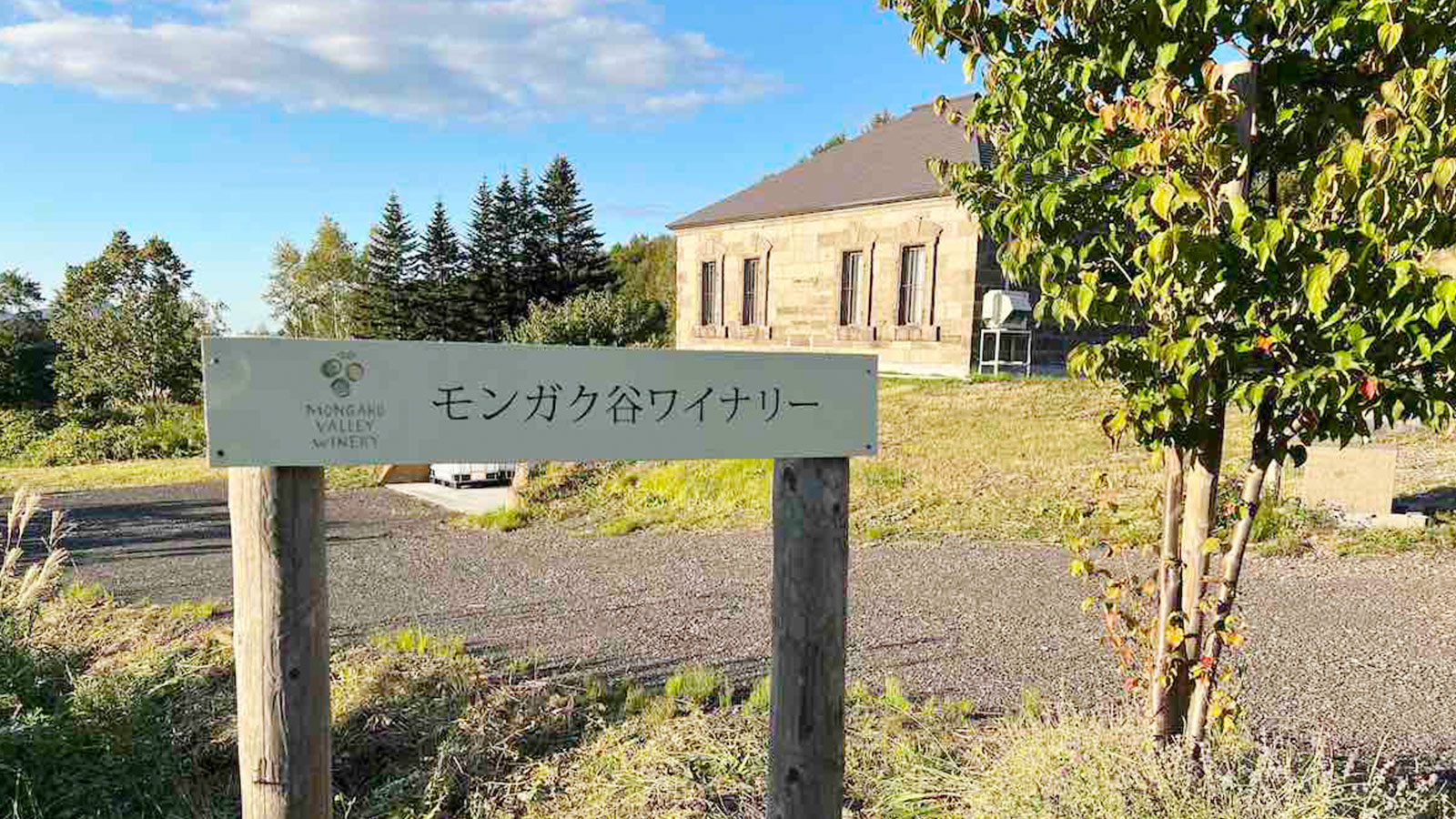 モンガク谷ワイナリー3種のぶどうの葉を使ったフィールドブレンド