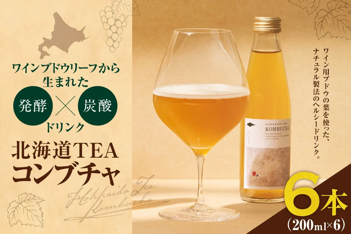 北海道TEAコンブチャ ブドウリーフ発酵 炭酸ドリンク 健康志向 甘さ